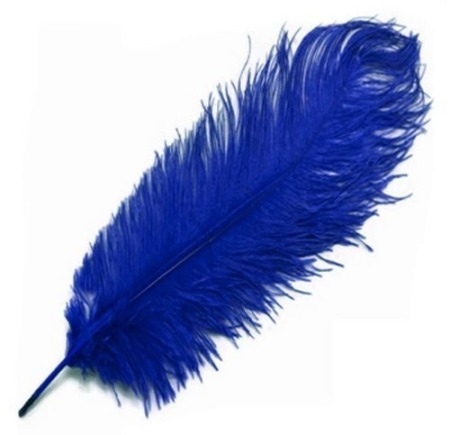 Blue Ostrich Feathers 50 - 64cm