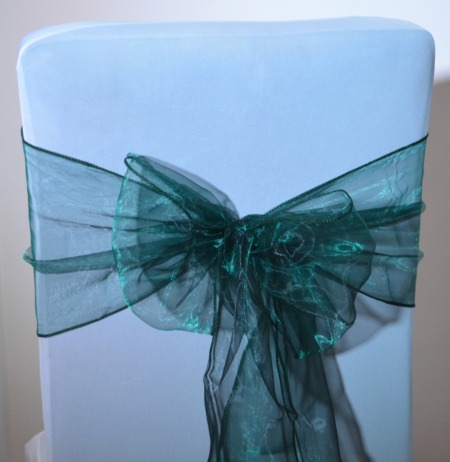 Blue Jay Organza Sashes