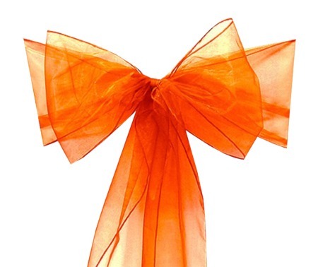 Burnt  Orange  Organza  Sash