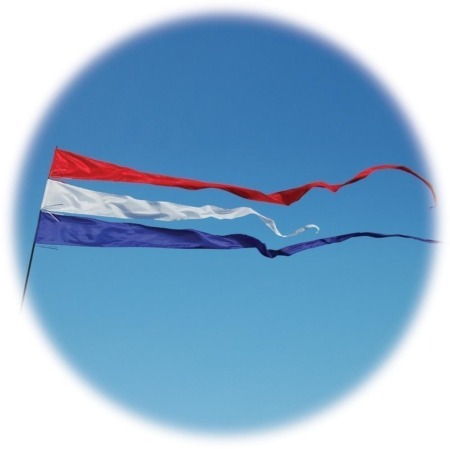 4m Long Festival Streamer Flag with Pole - BLUE